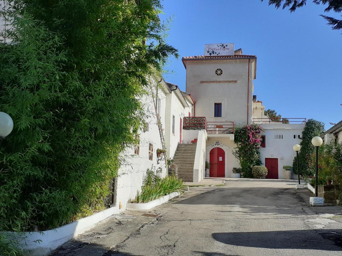 Pier Delle Vigne B&B Pineto Exterior photo