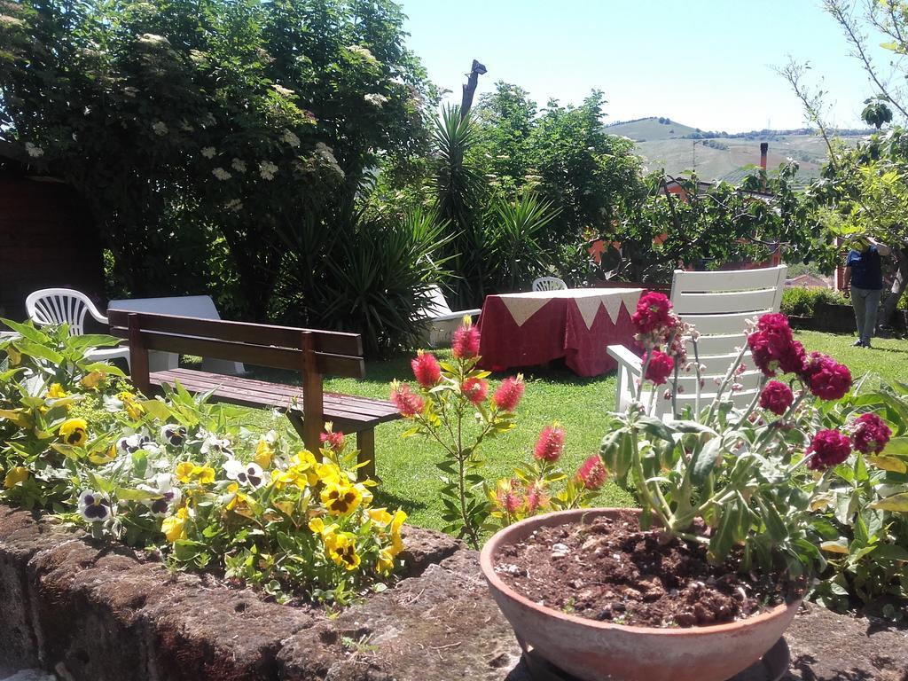Pier Delle Vigne B&B Pineto Exterior photo