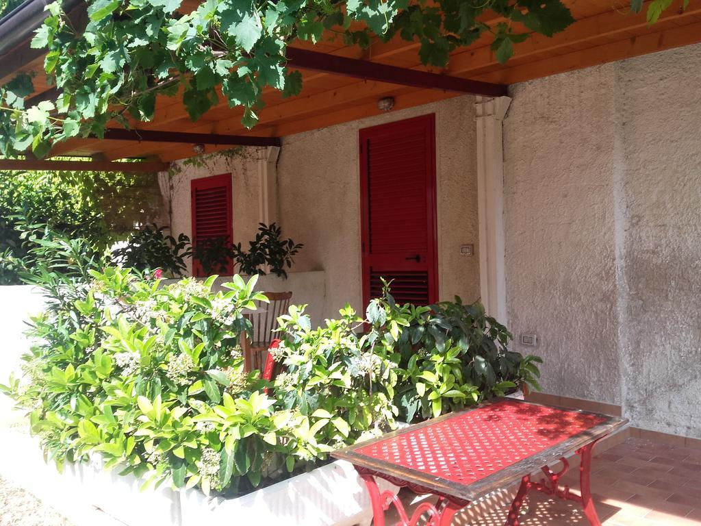 Pier Delle Vigne B&B Pineto Exterior photo