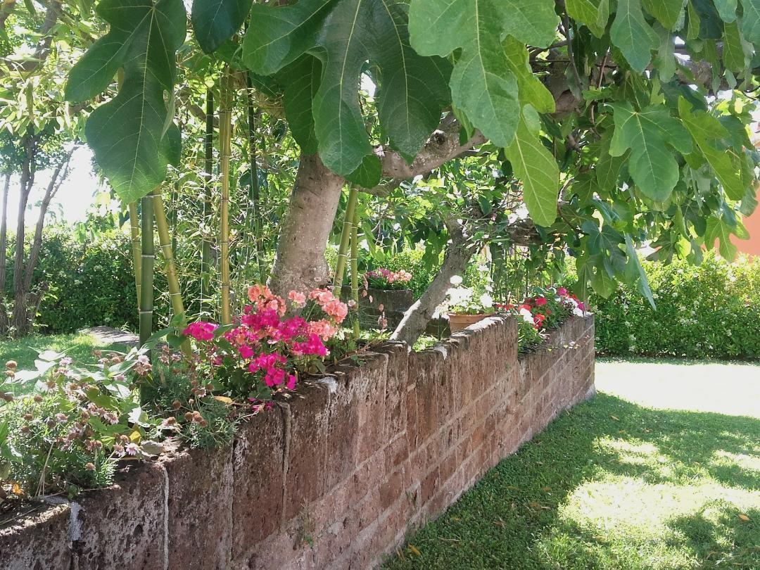 Pier Delle Vigne B&B Pineto Exterior photo