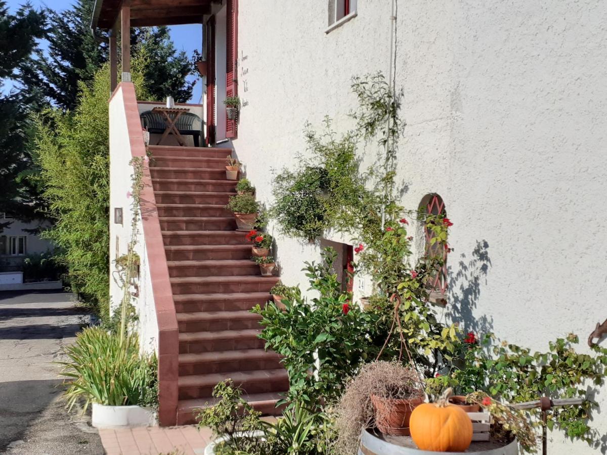 Pier Delle Vigne B&B Pineto Exterior photo
