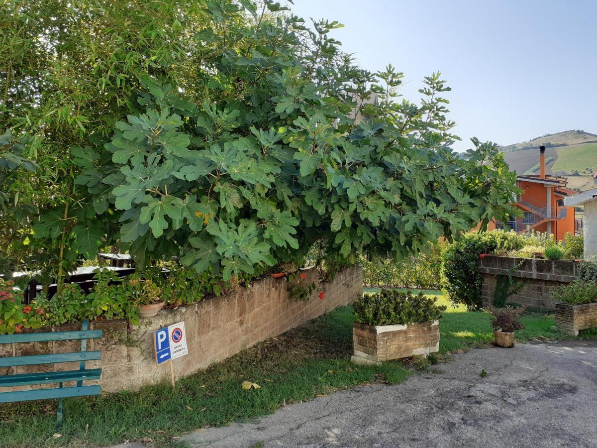 Pier Delle Vigne B&B Pineto Exterior photo