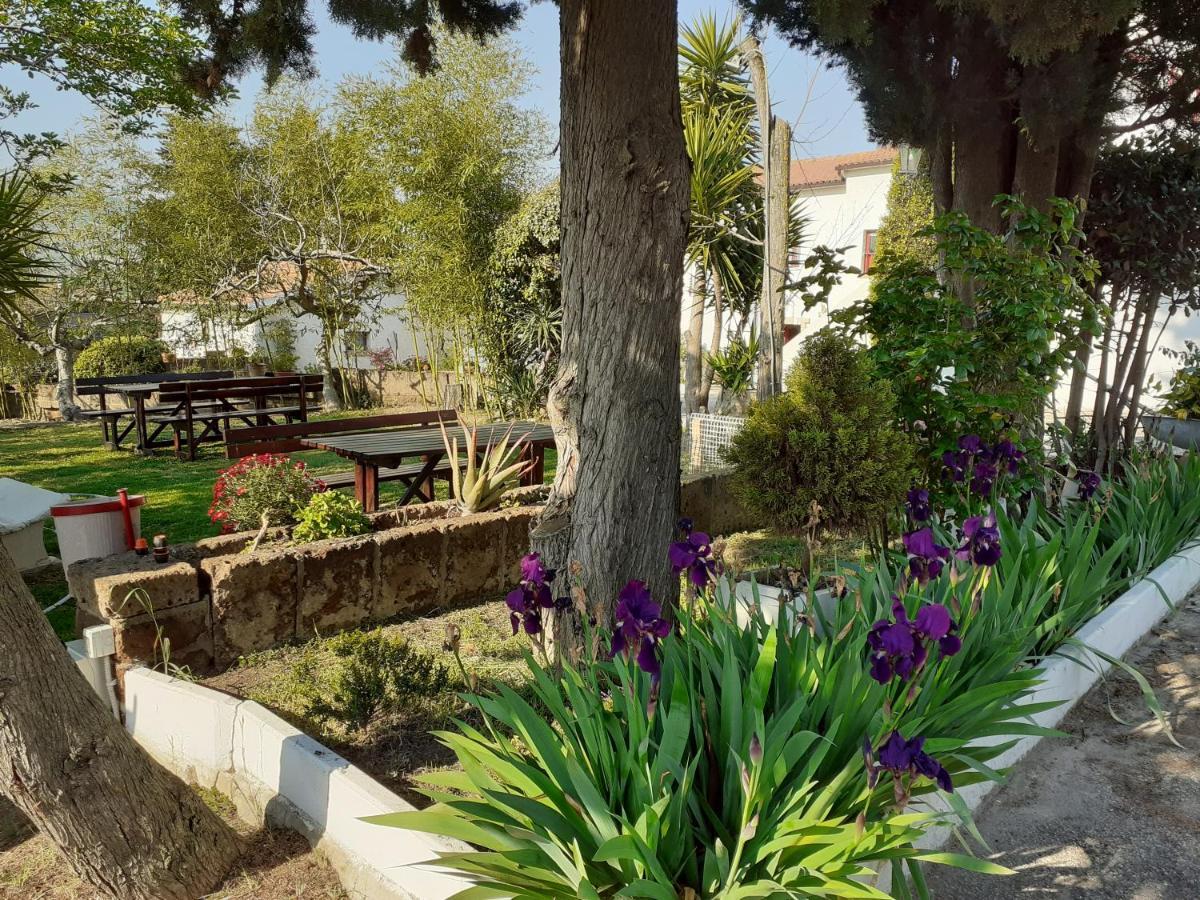 Pier Delle Vigne B&B Pineto Exterior photo