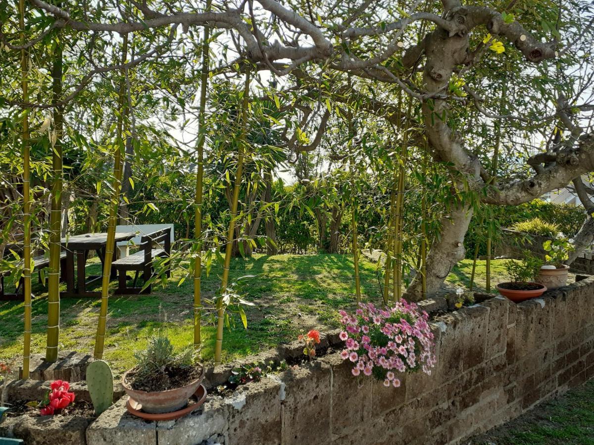 Pier Delle Vigne B&B Pineto Exterior photo