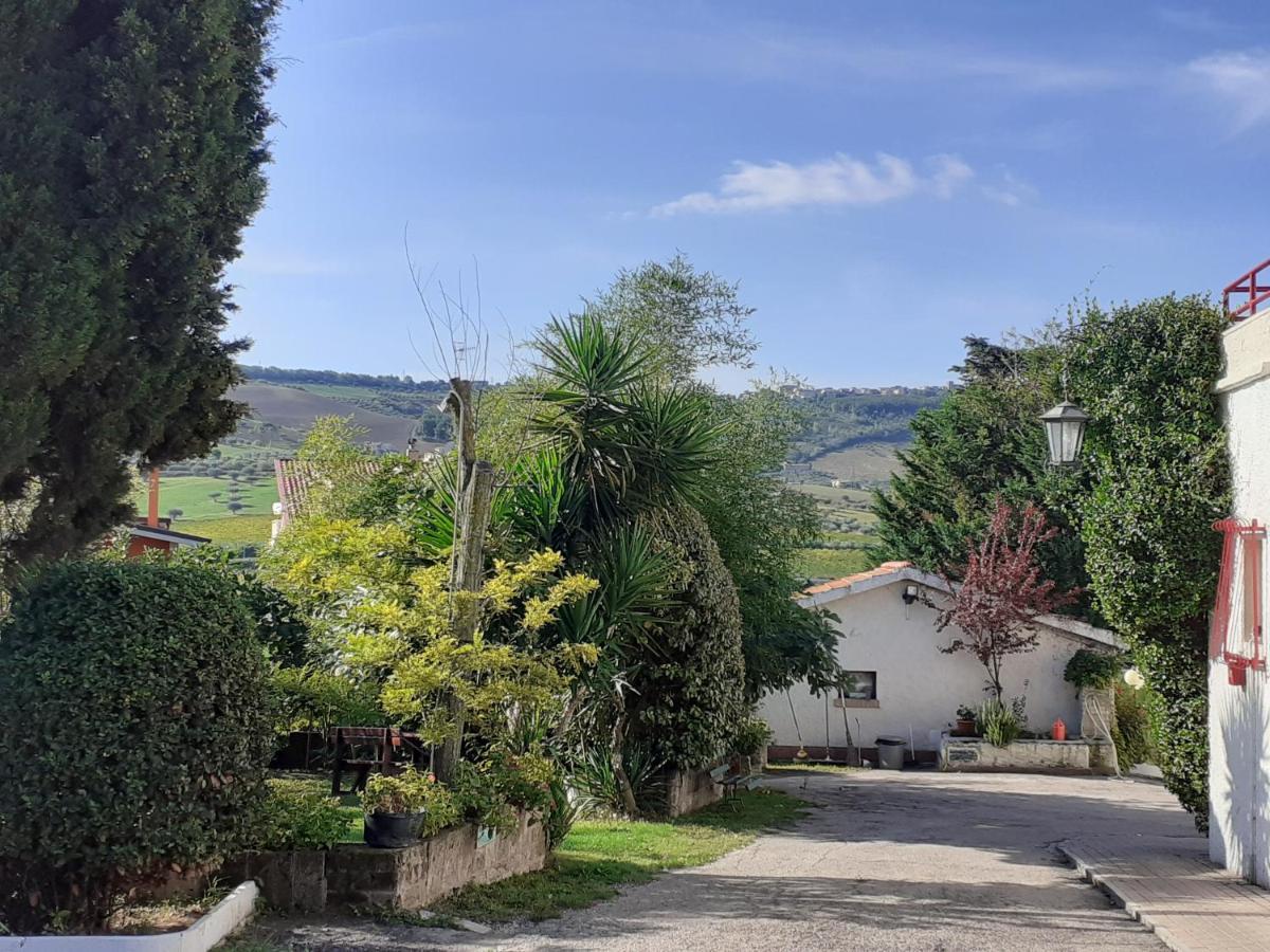 Pier Delle Vigne B&B Pineto Exterior photo