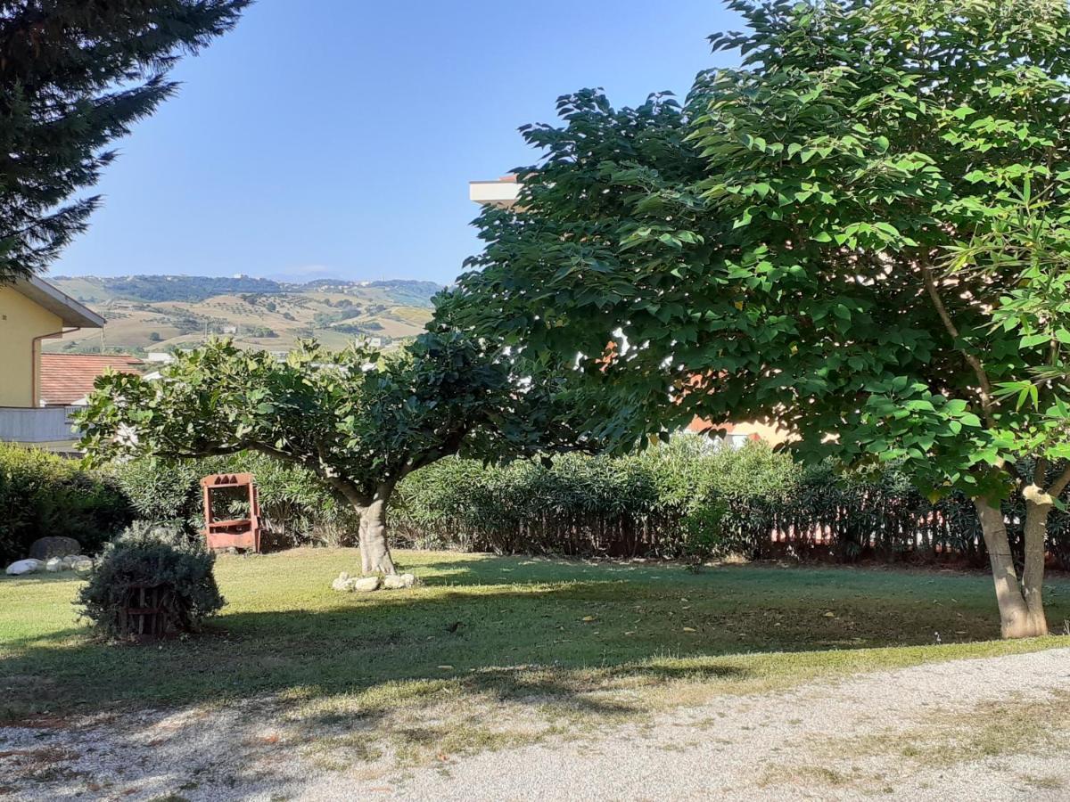 Pier Delle Vigne B&B Pineto Exterior photo