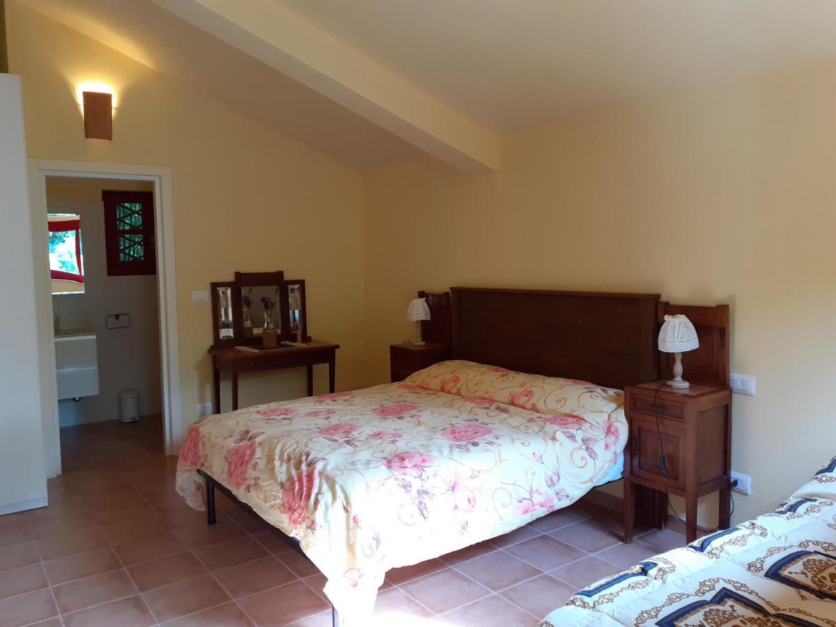Pier Delle Vigne B&B Pineto Exterior photo