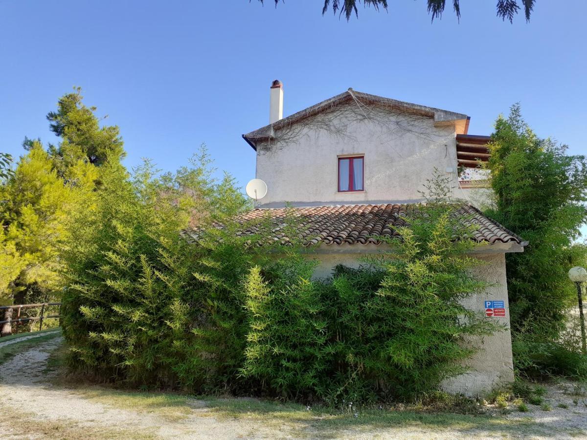 Pier Delle Vigne B&B Pineto Exterior photo