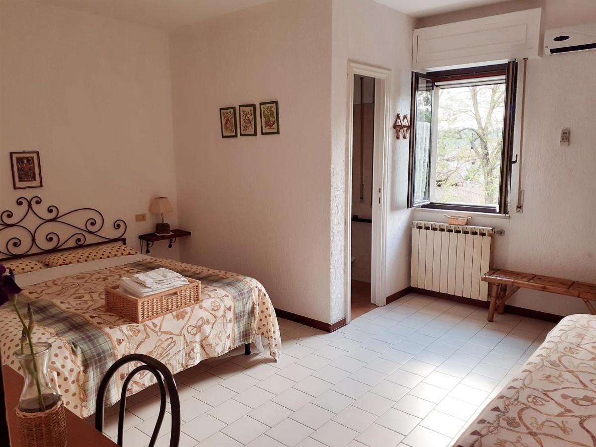 Pier Delle Vigne B&B Pineto Exterior photo
