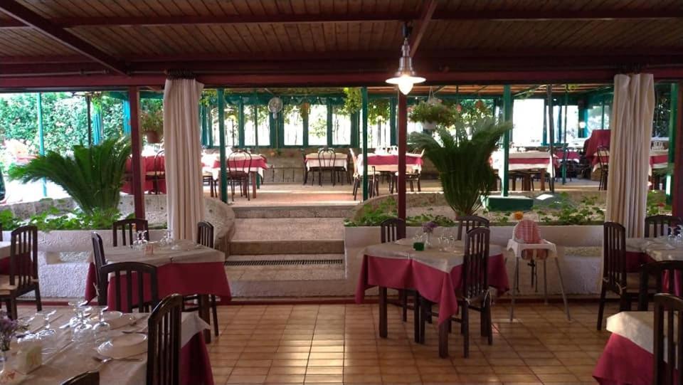 Pier Delle Vigne B&B Pineto Exterior photo