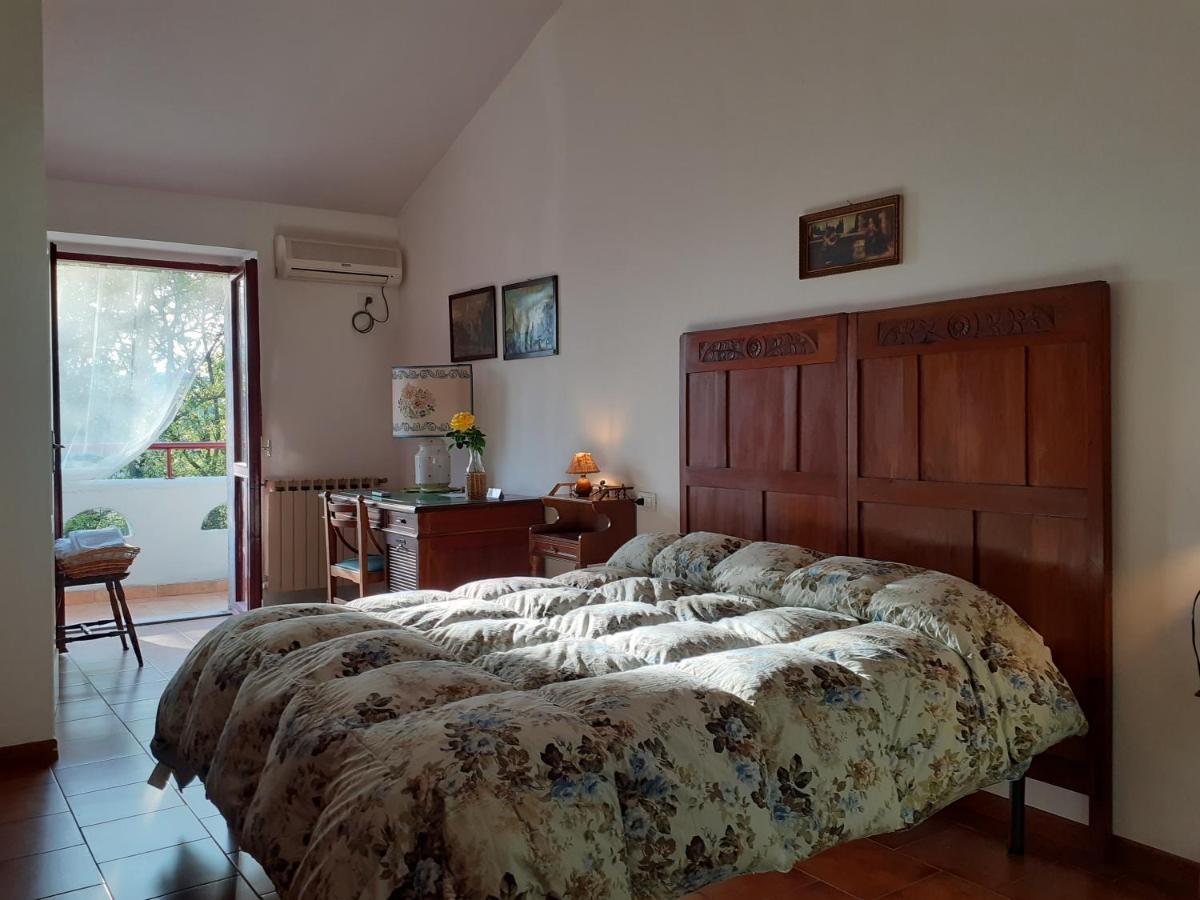 Pier Delle Vigne B&B Pineto Exterior photo