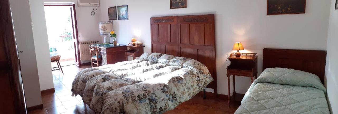 Pier Delle Vigne B&B Pineto Exterior photo